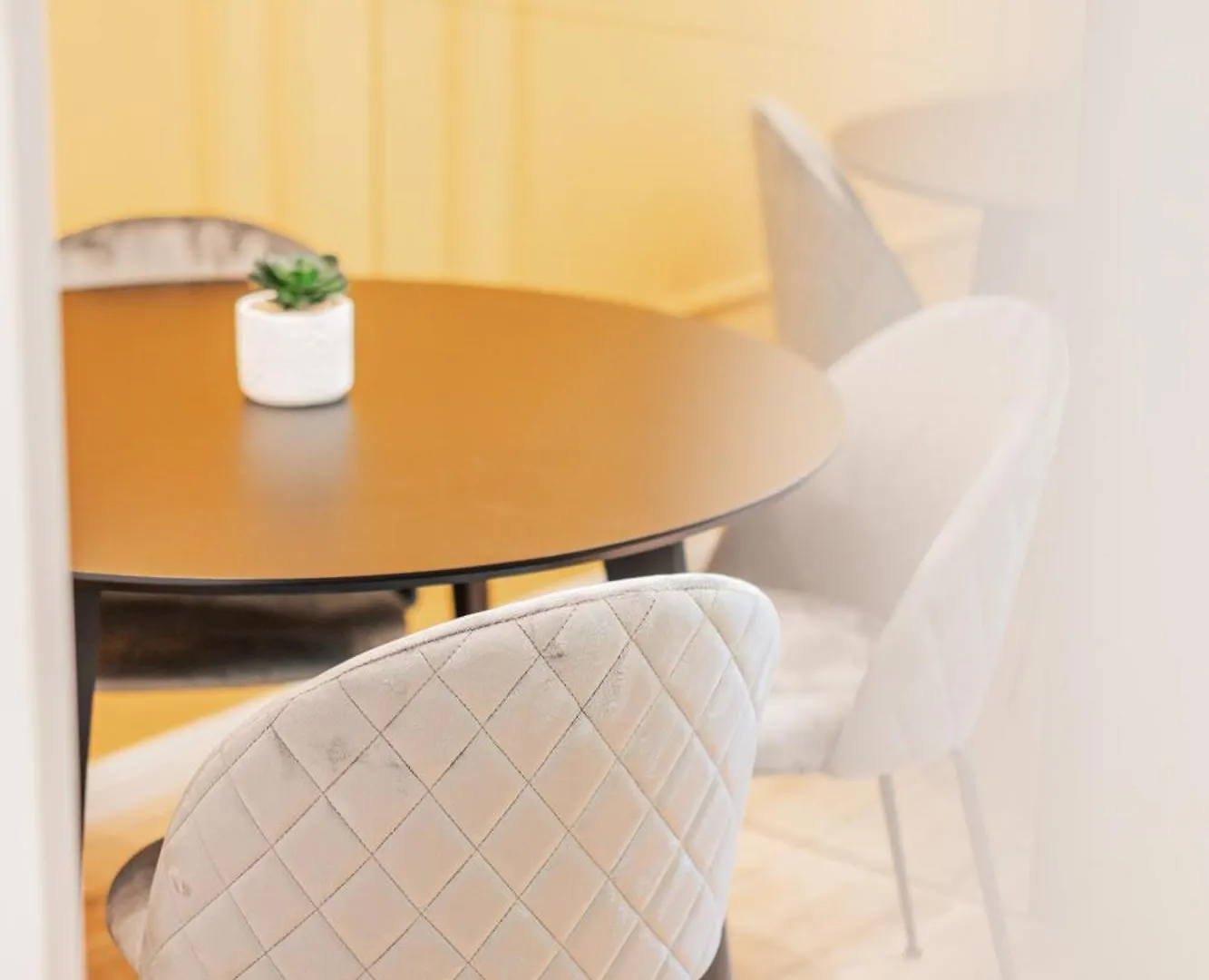 Zeus Design Apartments Schoenbrunn Viena Austria